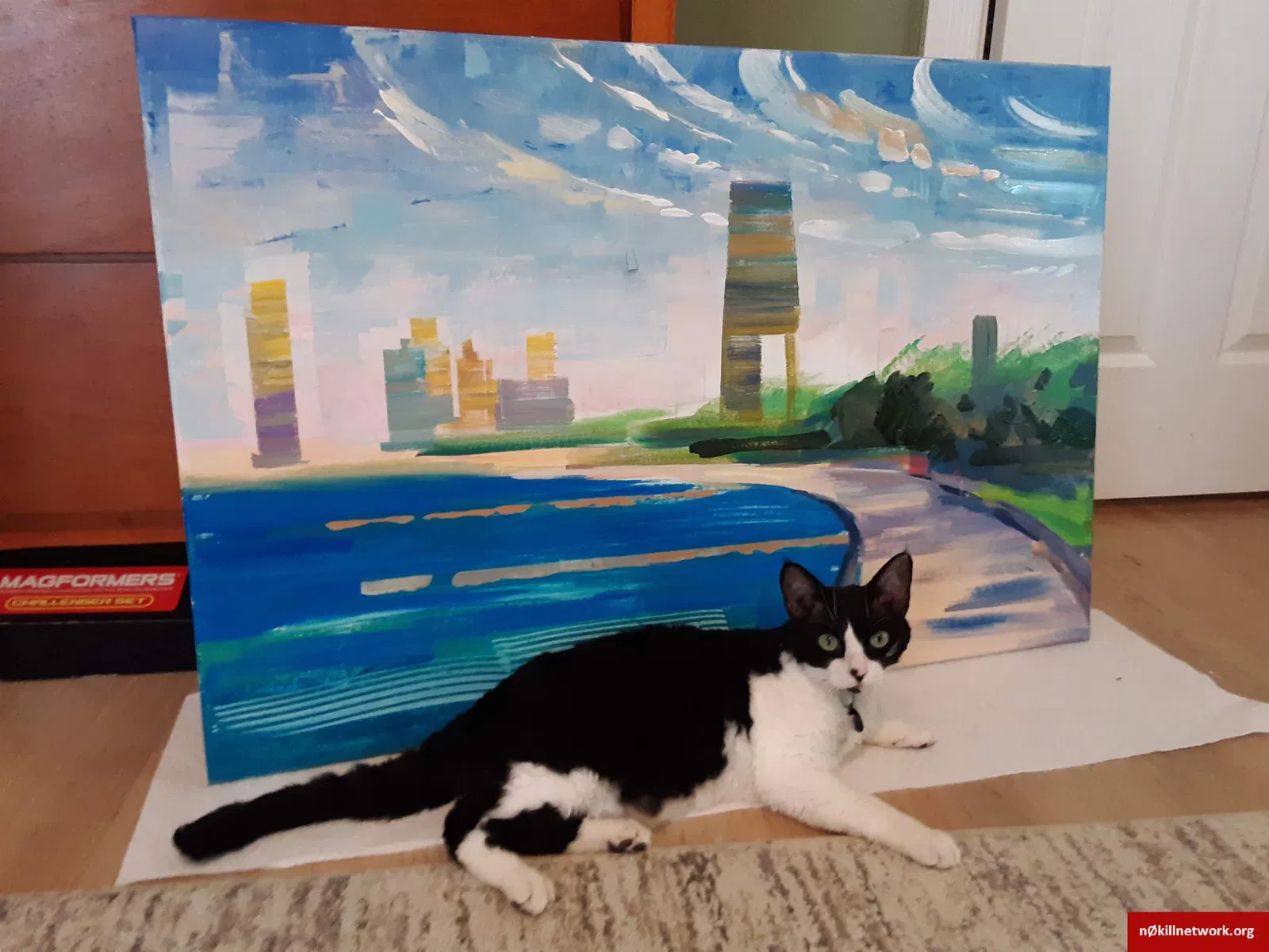 Lost cat in Buffalo Grove, IL, 60089