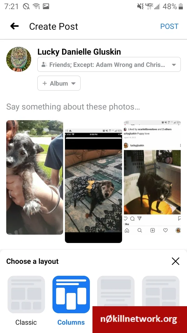 Lost dog in Melbourne, FL, 32940