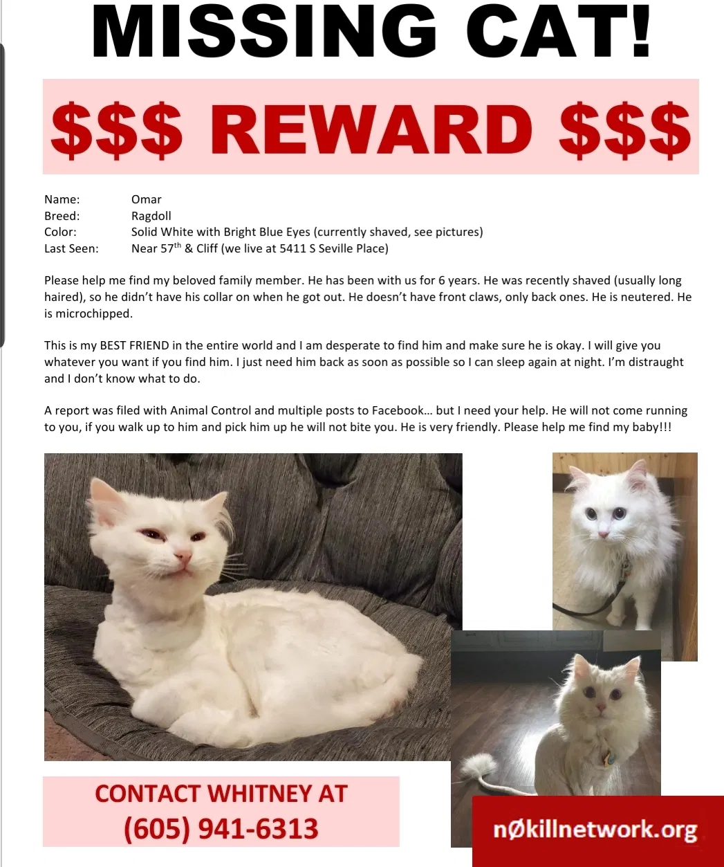 Lost cat in Sioux Falls, SD, 57108