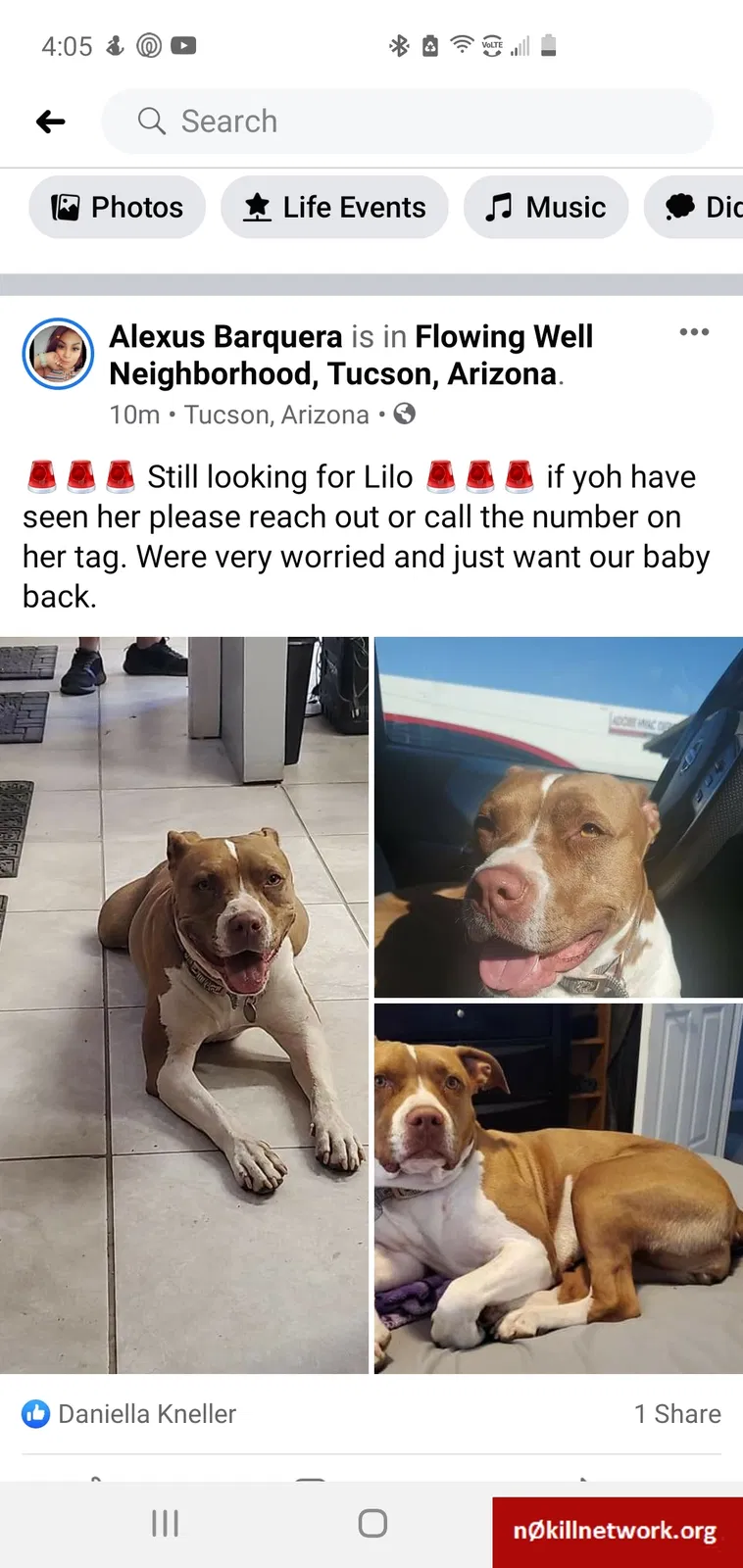 Lost dog in Tucson, AZ, 85705
