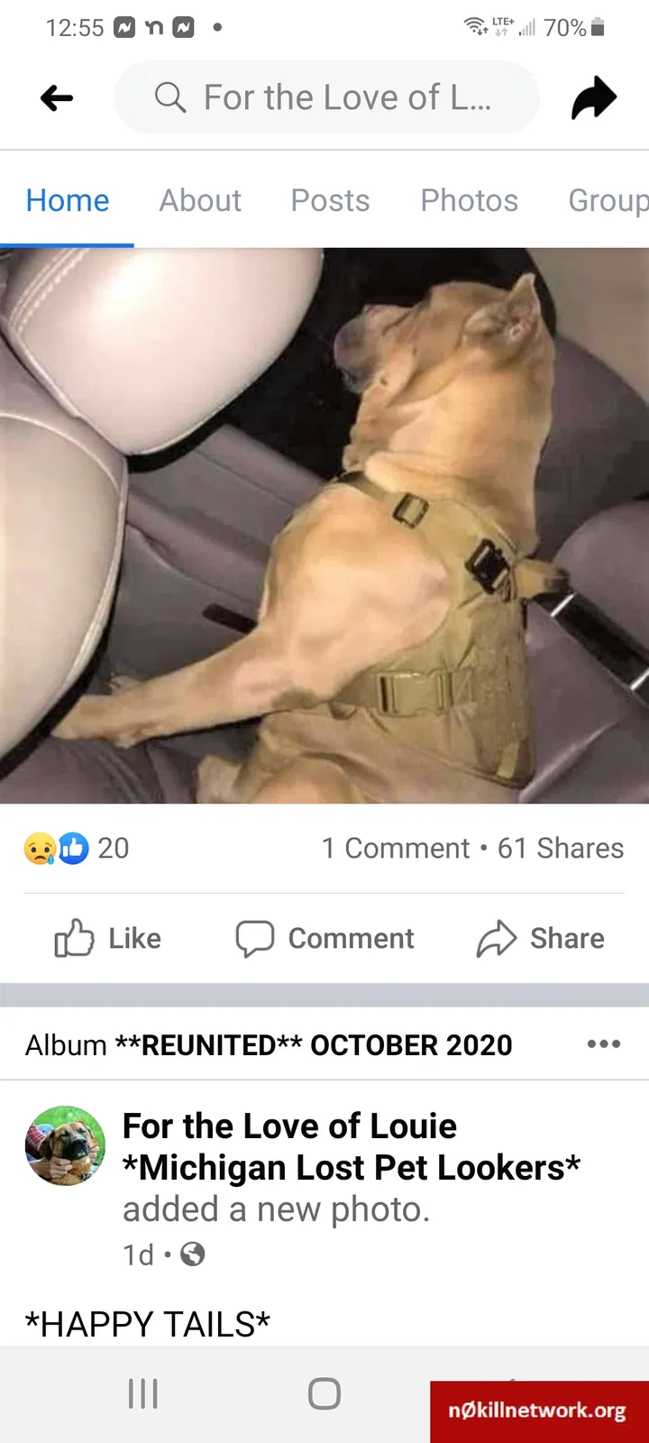 Lost dog in Flint, MI, 48504