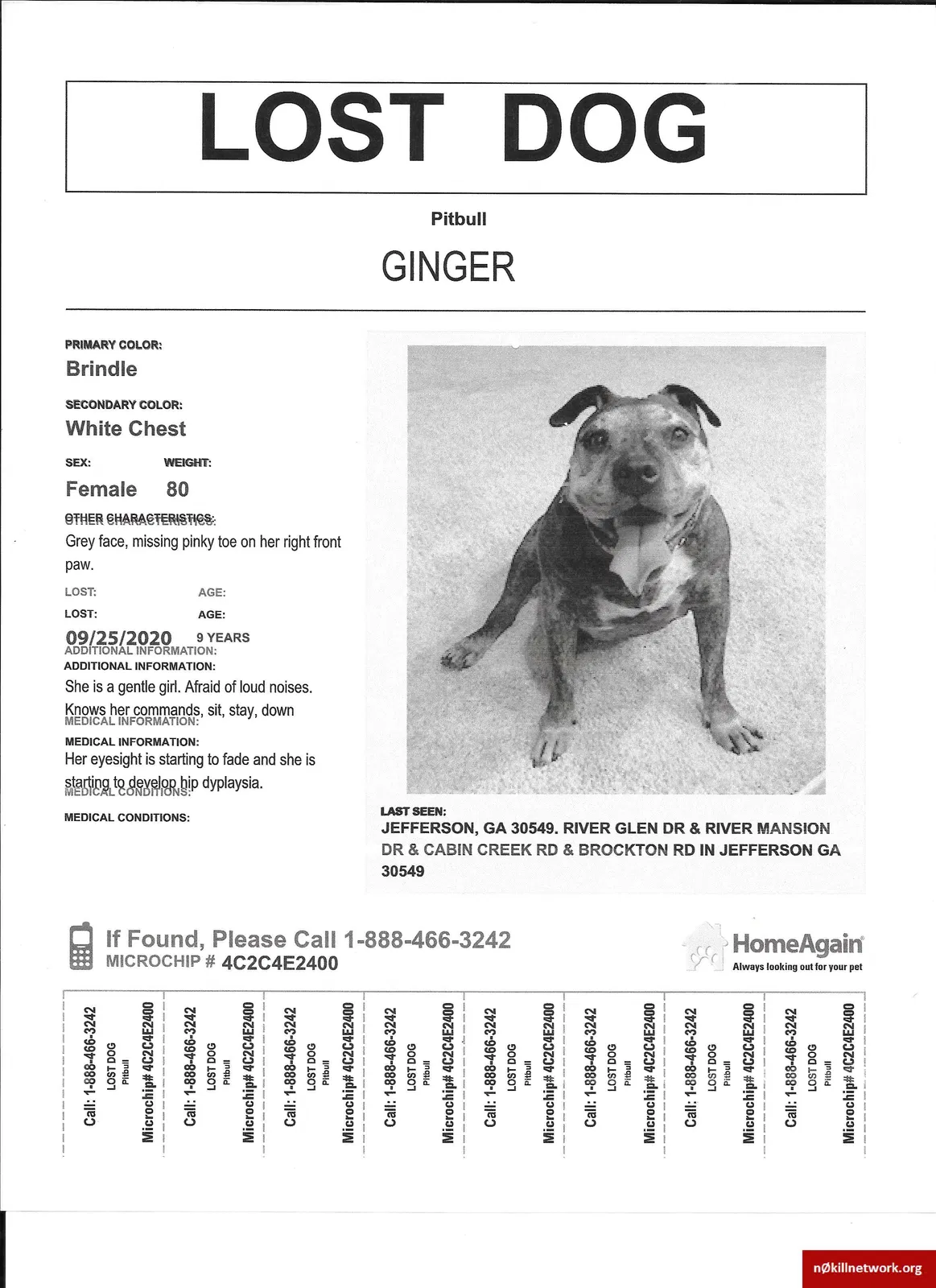 Lost dog in Jefferson, GA, 30549