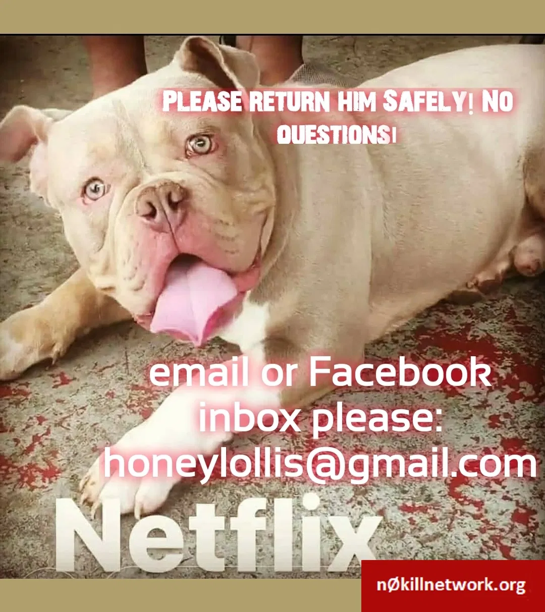 Lost dog in Crowley, LA, 70526