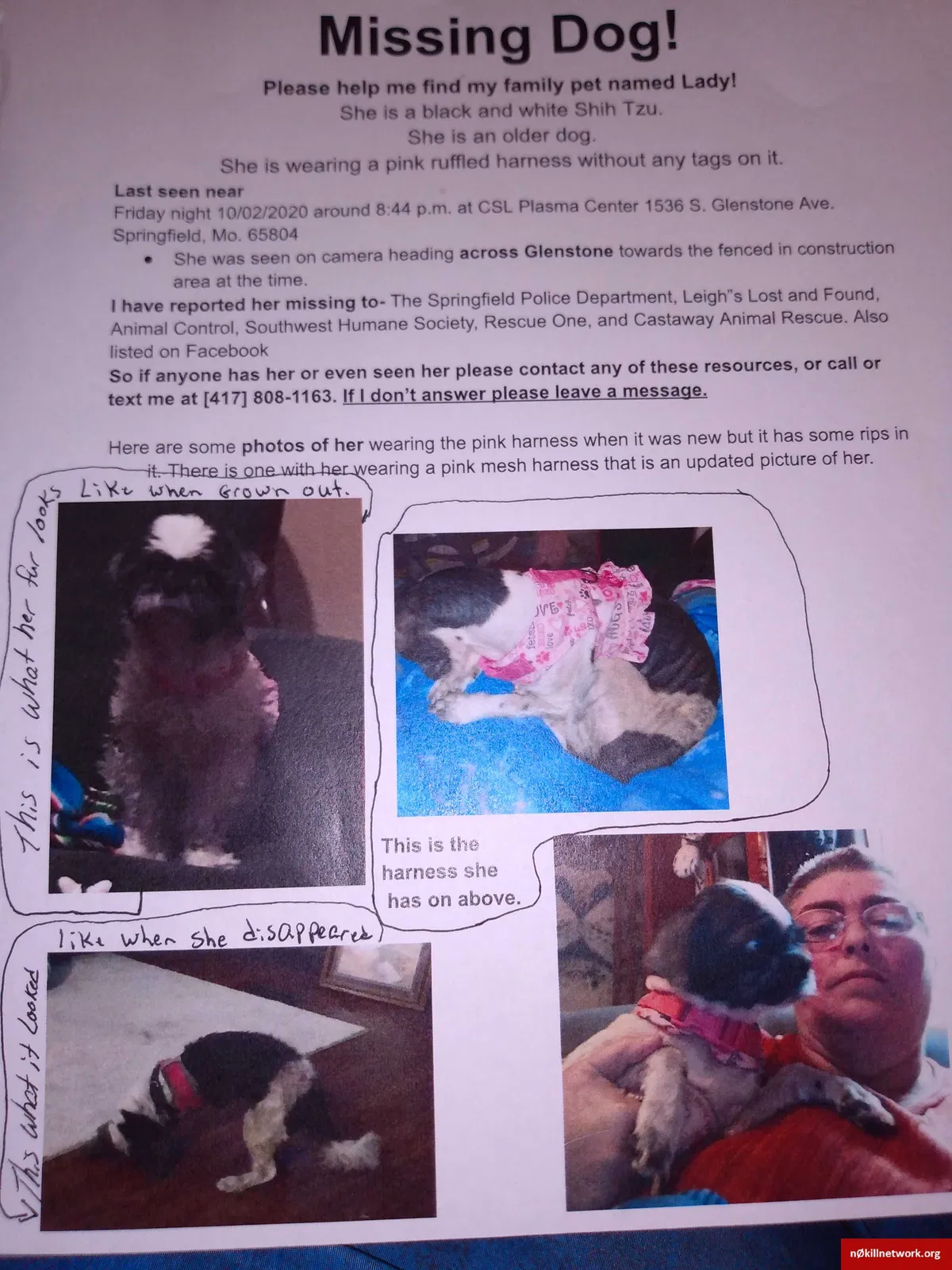 Lost dog in Springfield, MO, 65804