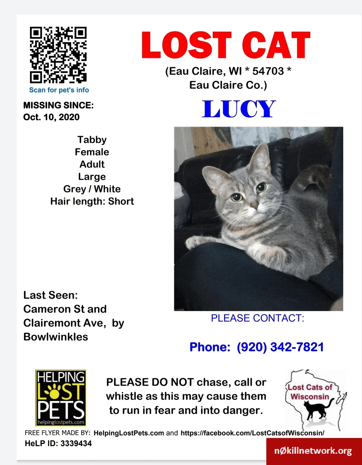 Lost cat in Eau Claire, WI, 54703