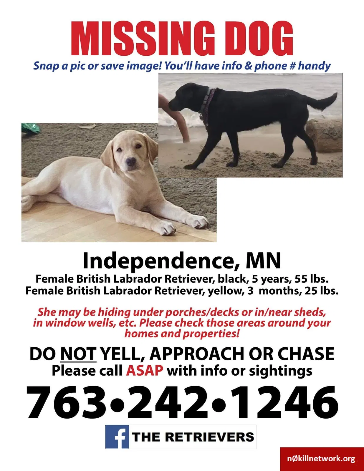 Lost dog in Long Lake, MN, 55356