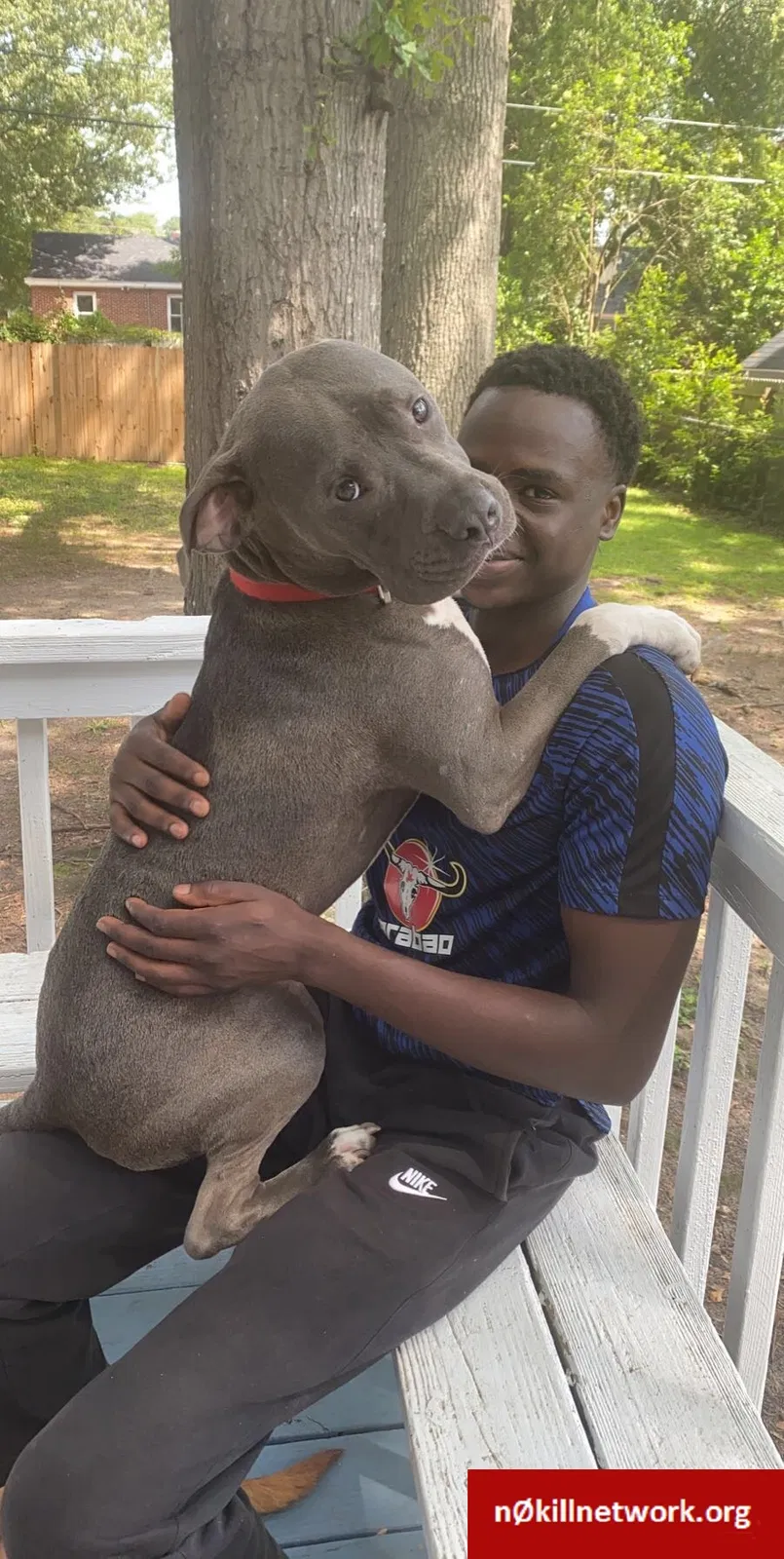 Lost dog in Columbia, SC, 29205