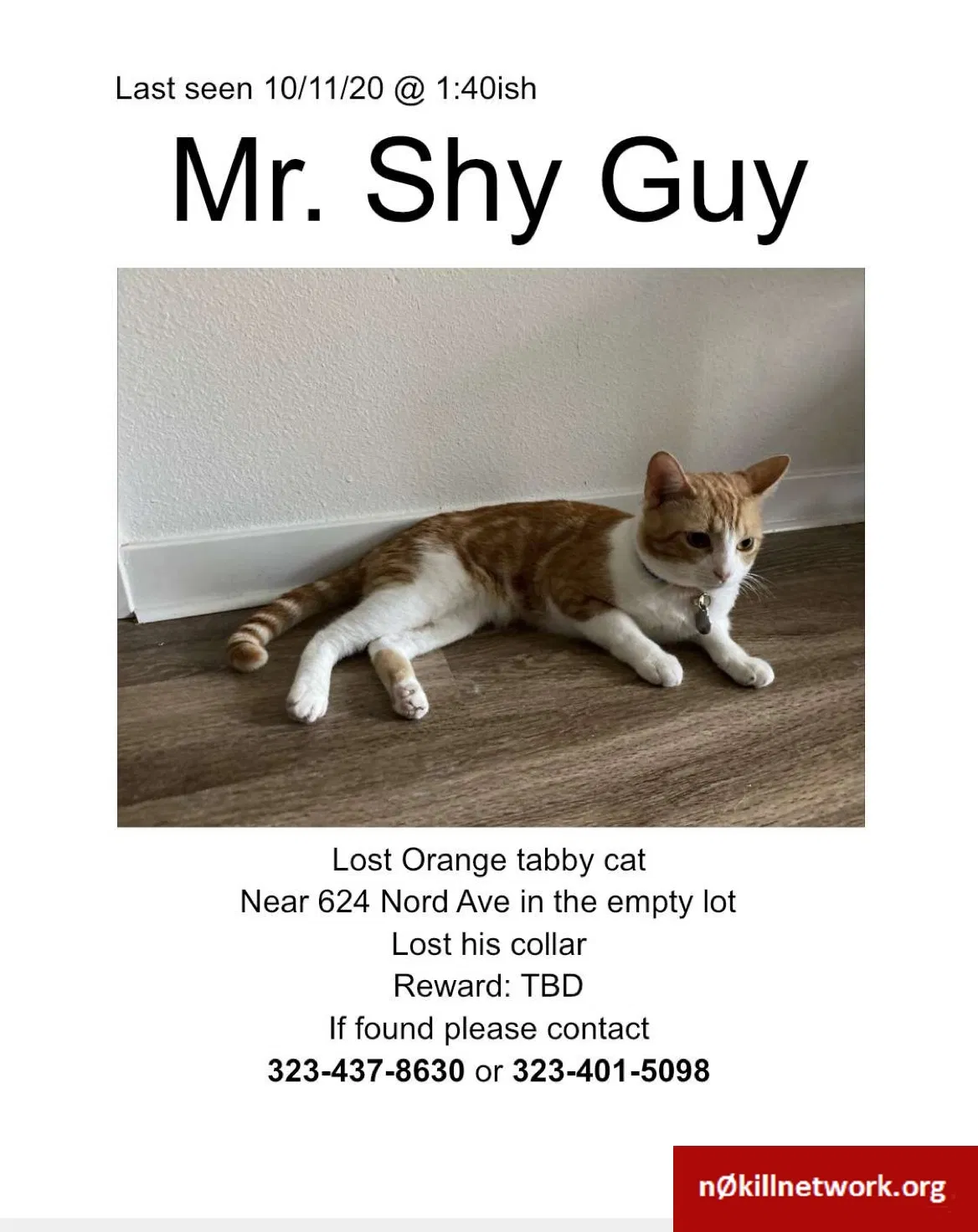 Lost cat in Chico, CA, 95926