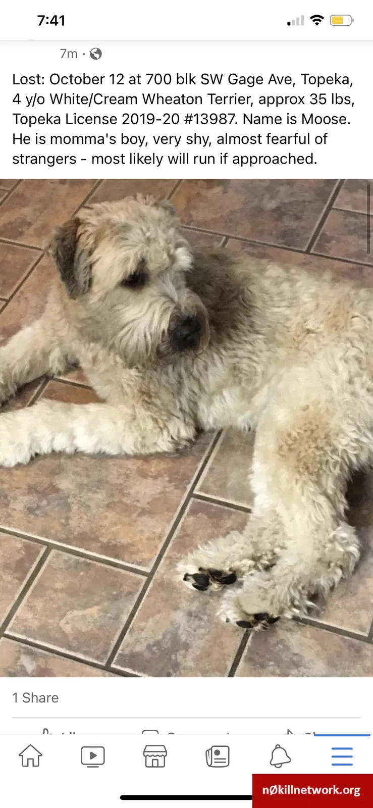 Lost dog in Topeka, KS, 66606