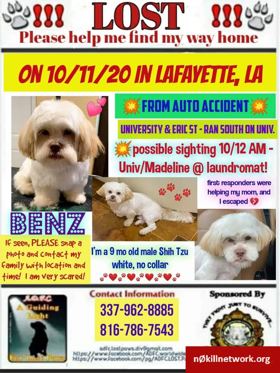 Lost dog in Lafayette, LA, 70501