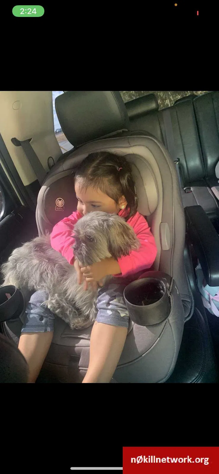 Lost dog in Midland, TX, 79707