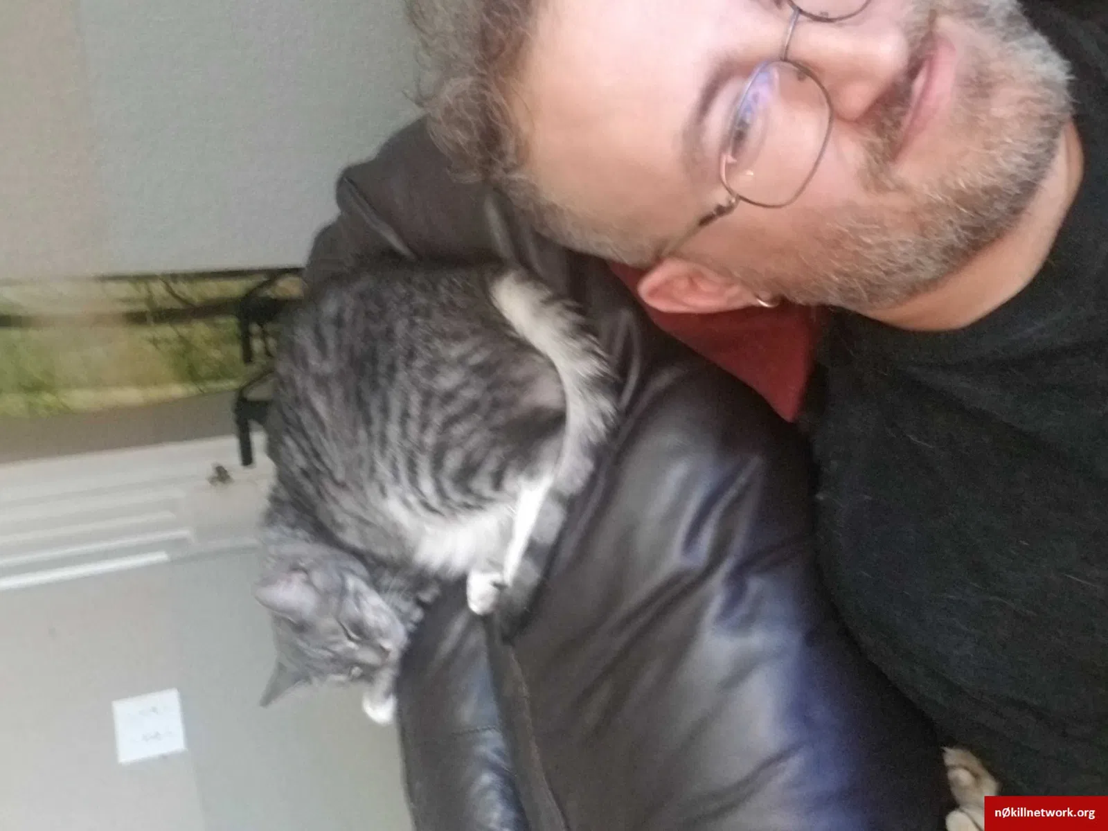 Lost cat in Ocala, FL, 34473