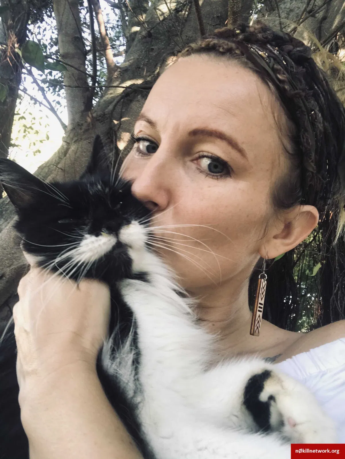 Lost cat in Saint Petersburg, FL, 33708