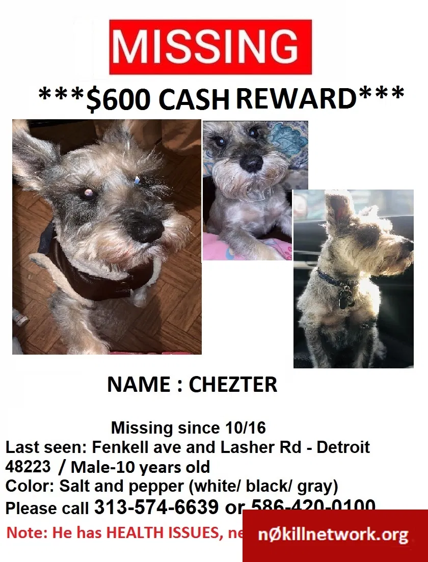 Lost dog in Detroit, MI, 48223