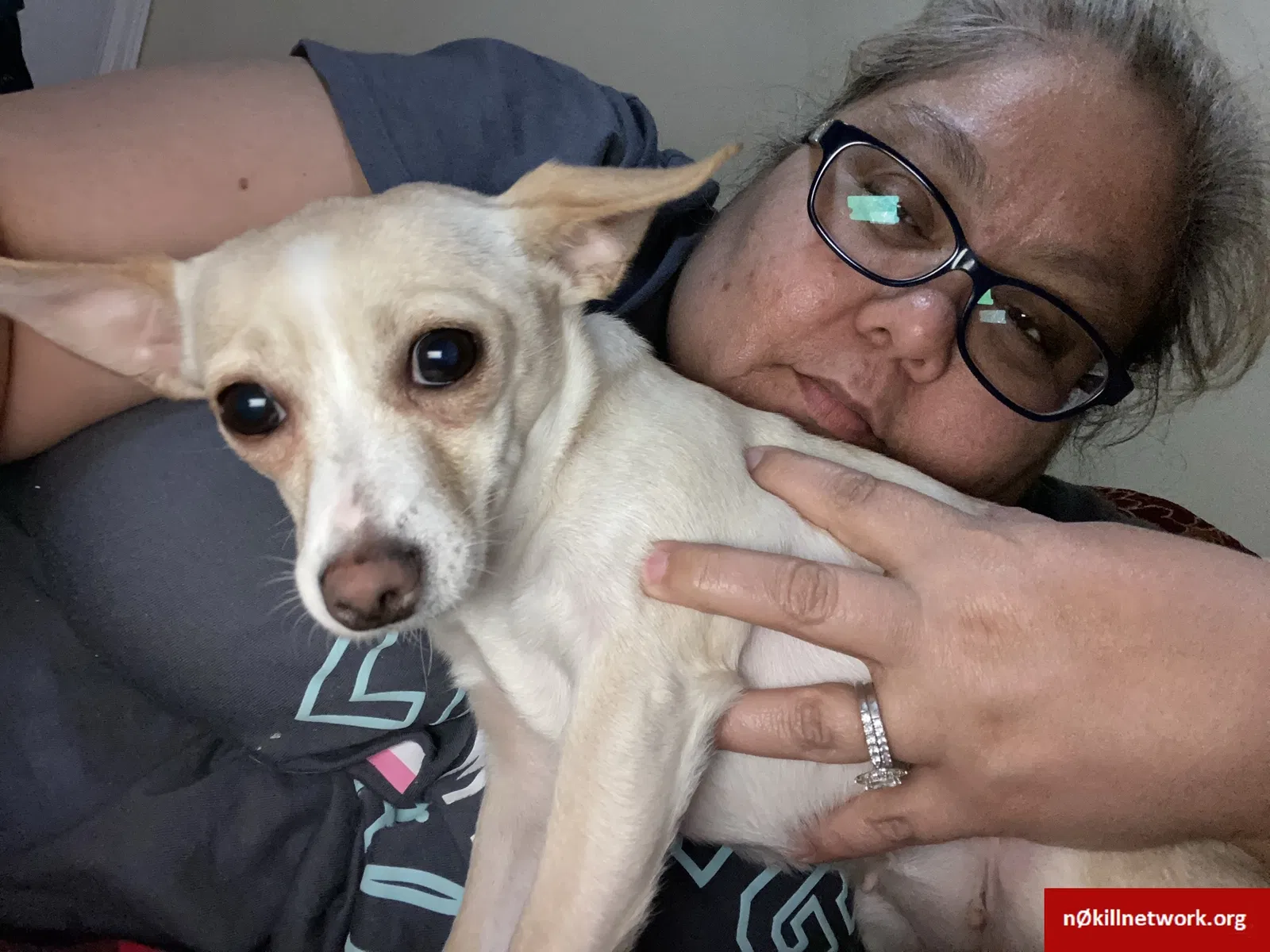 Lost dog in Manor, TX, 78653