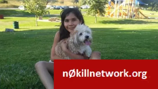 Lost dog in Bell Gardens, CA, 90201