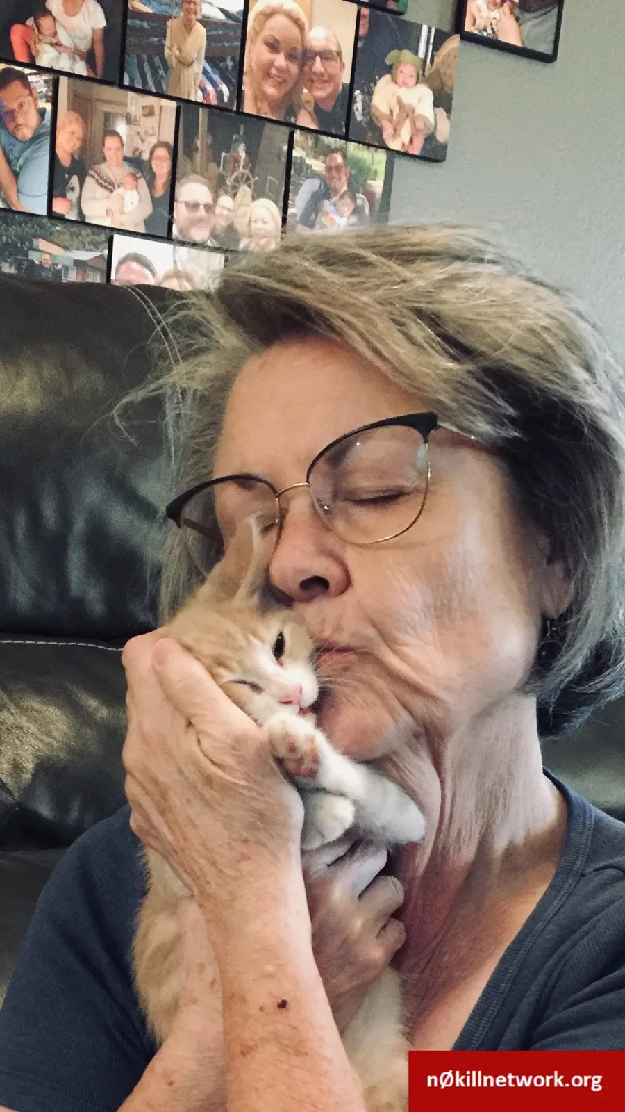 Lost cat in Glendale, AZ, 85302