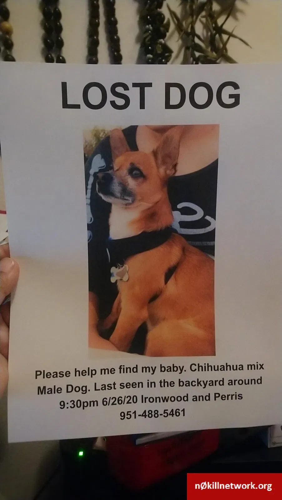 Lost dog in Moreno Valley, CA, 92557