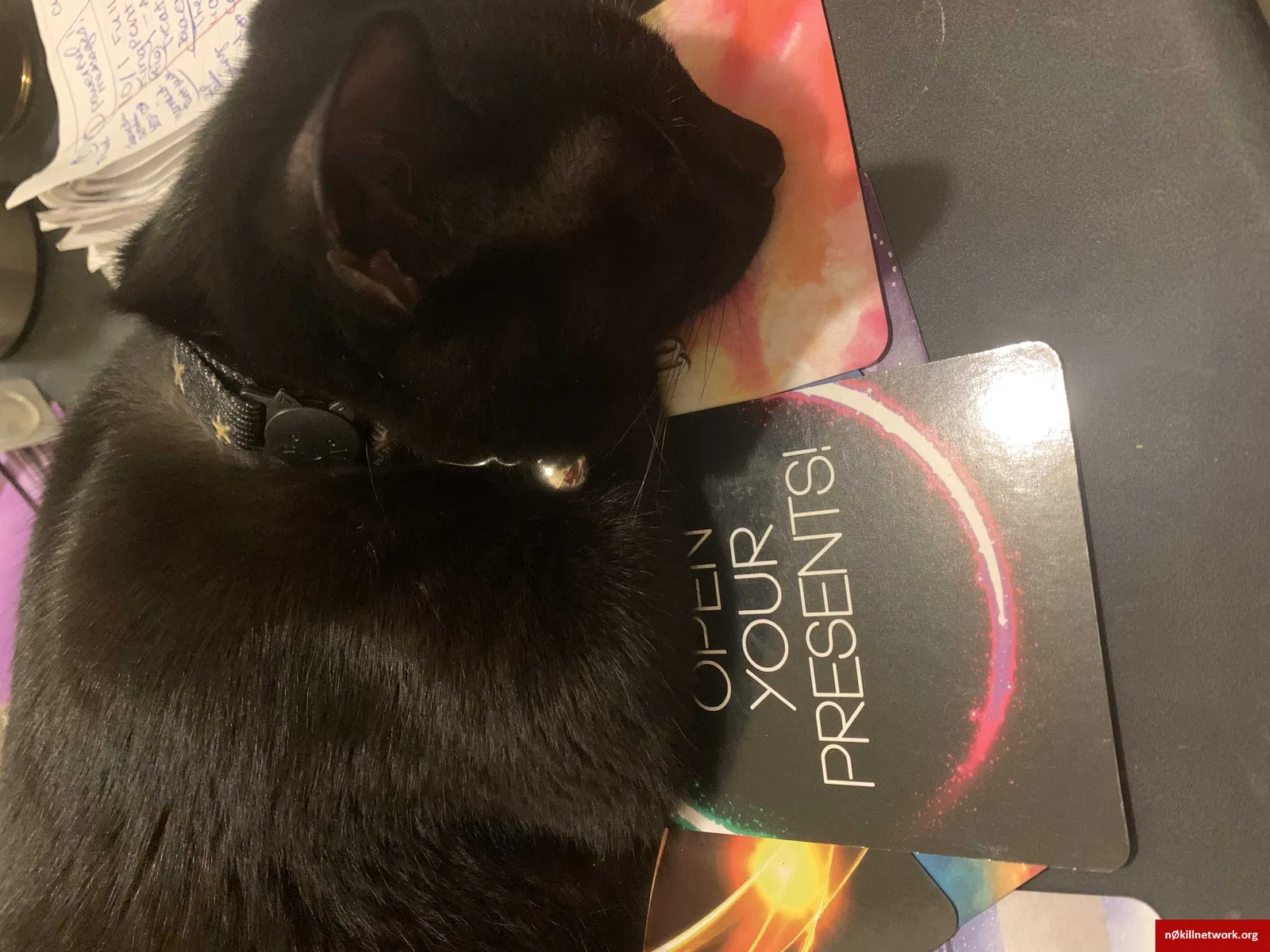 Lost cat in Unknown, FL, 0