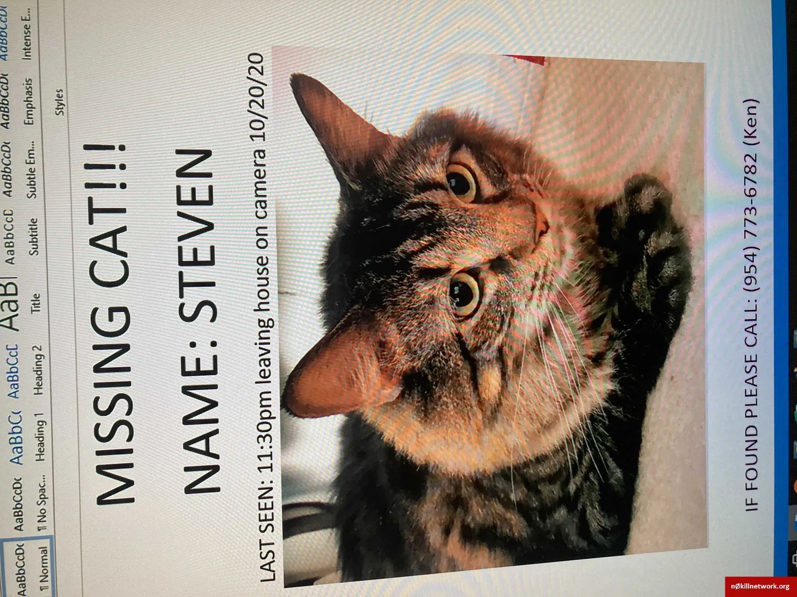 Lost cat in Sanford, FL, 32773