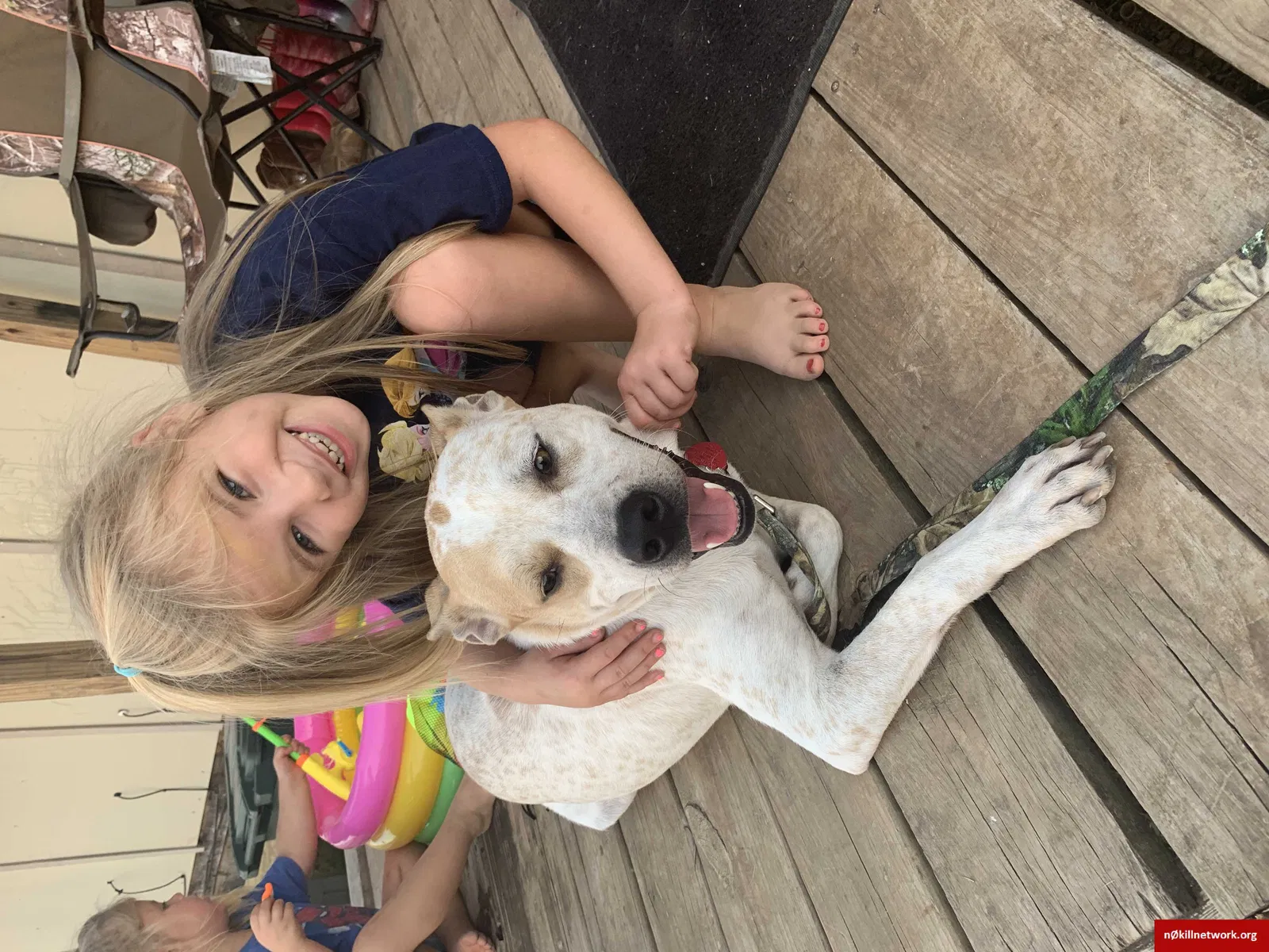 Lost dog in Temple, TX, 76502