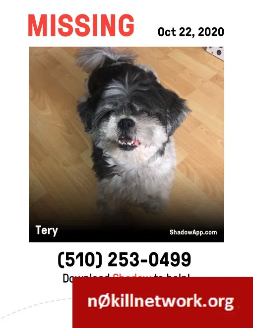 Lost dog in Oakland, CA, 94606