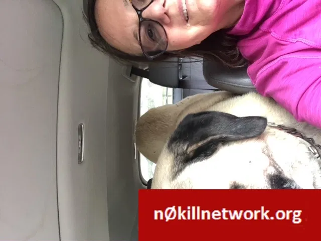 Found dog in Mineola, TX, 75773