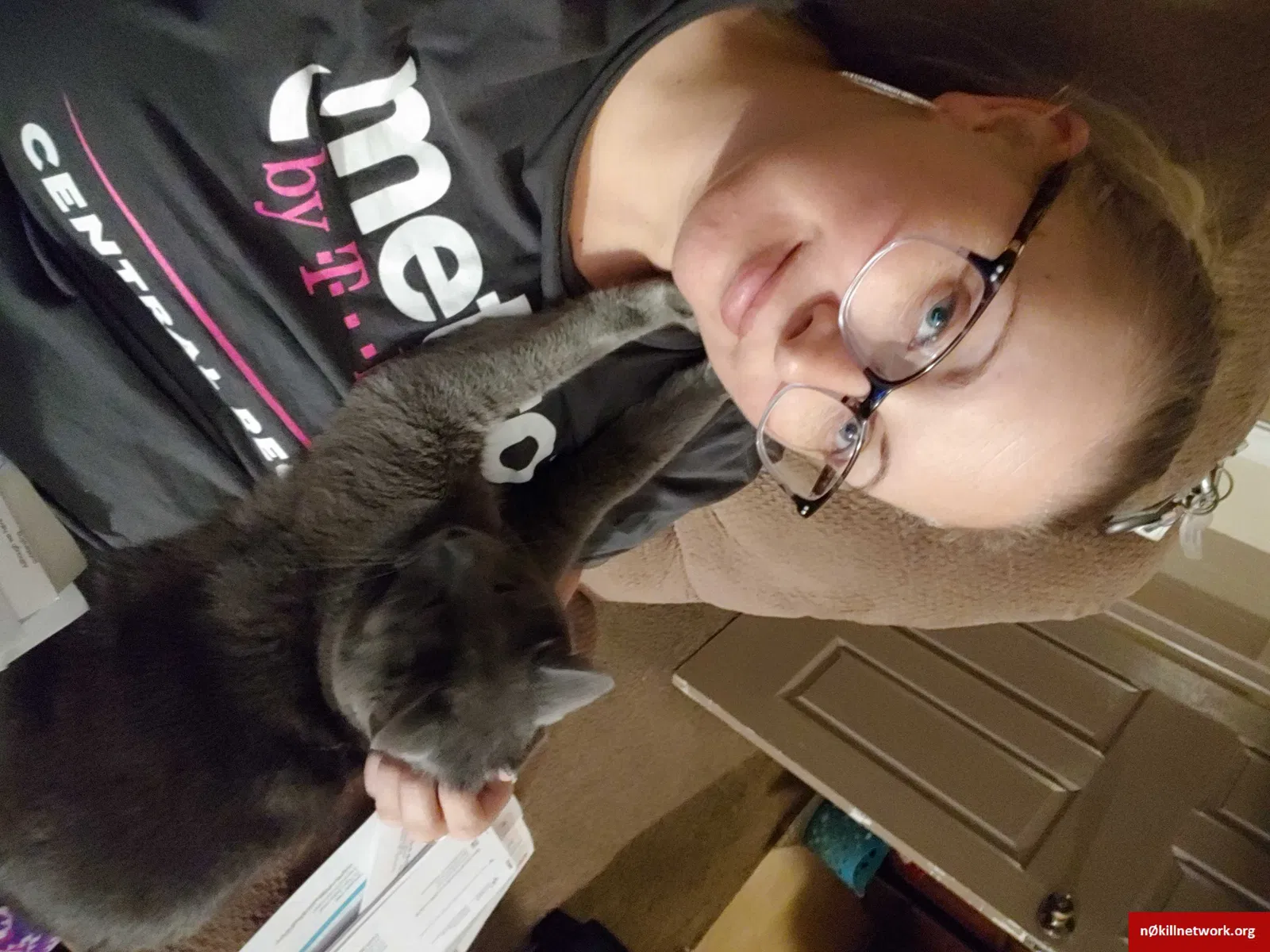 Lost cat in Columbus, OH, 43232