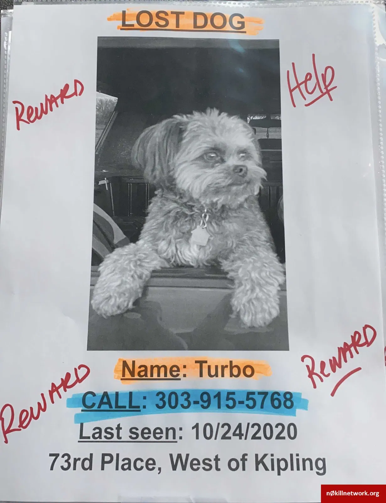 Lost dog in Arvada, CO, 80005