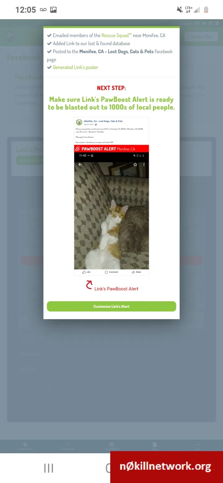 Lost cat in Sun City, CA, 92586