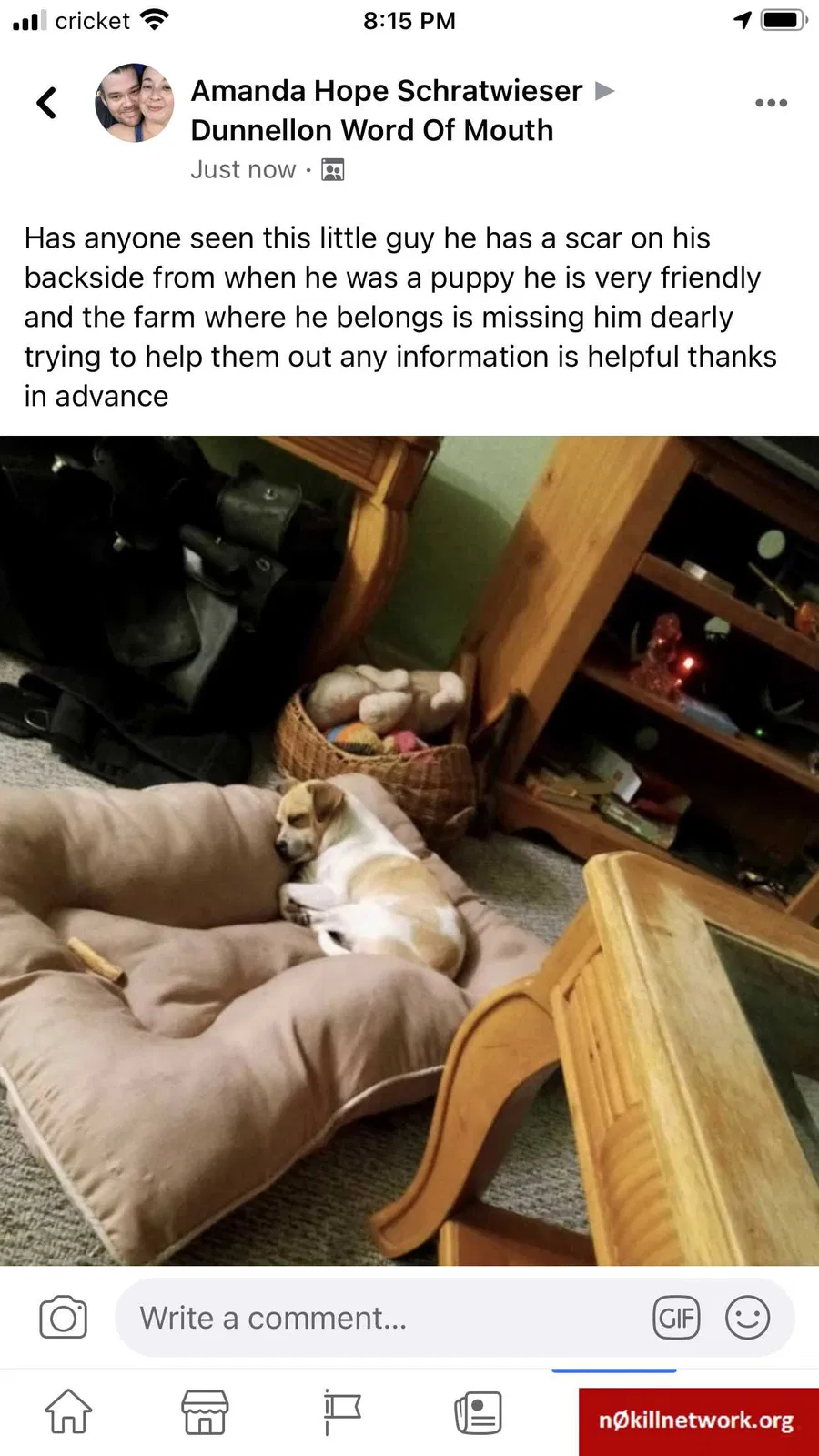 Lost dog in Dunnellon, FL, 34432