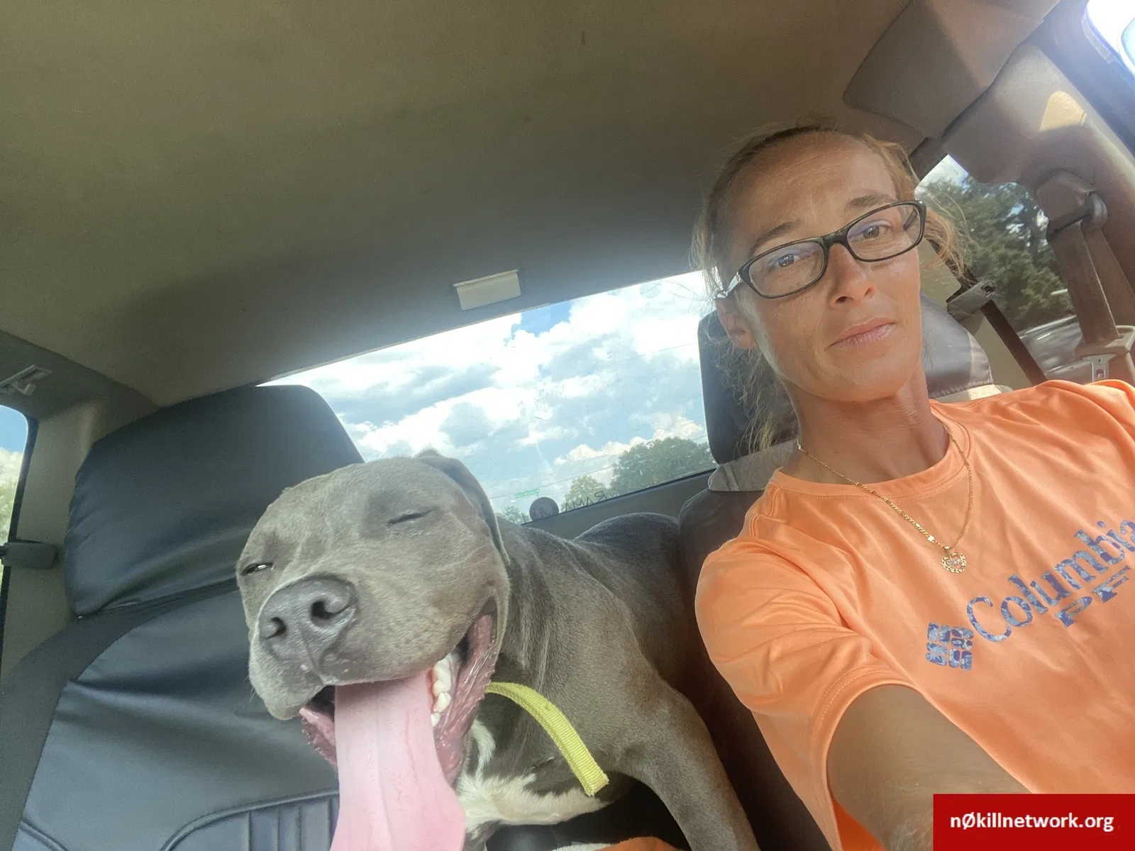 Lost dog in Mobile, AL, 36608