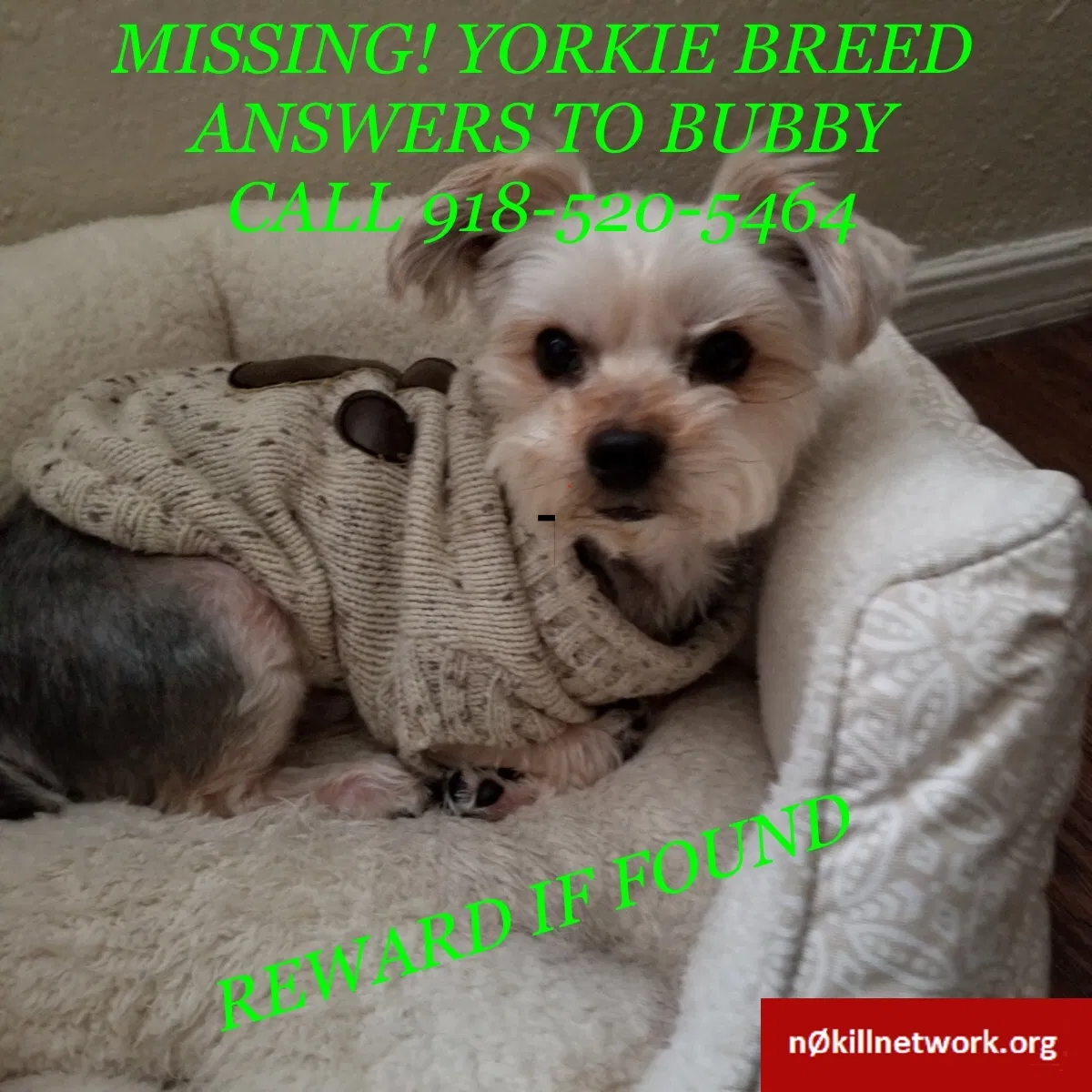 Lost dog in Tulsa, OK, 74146