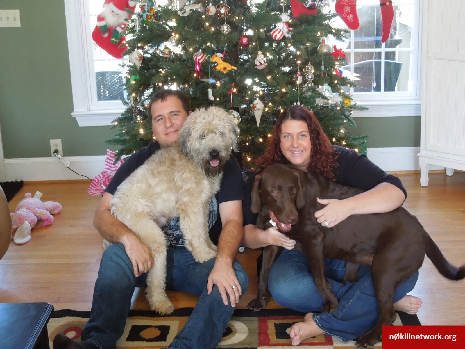 Lost dog in Columbia, SC, 29203