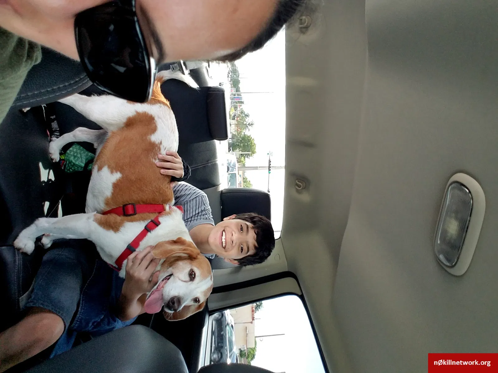 Lost dog in Miami, FL, 33142