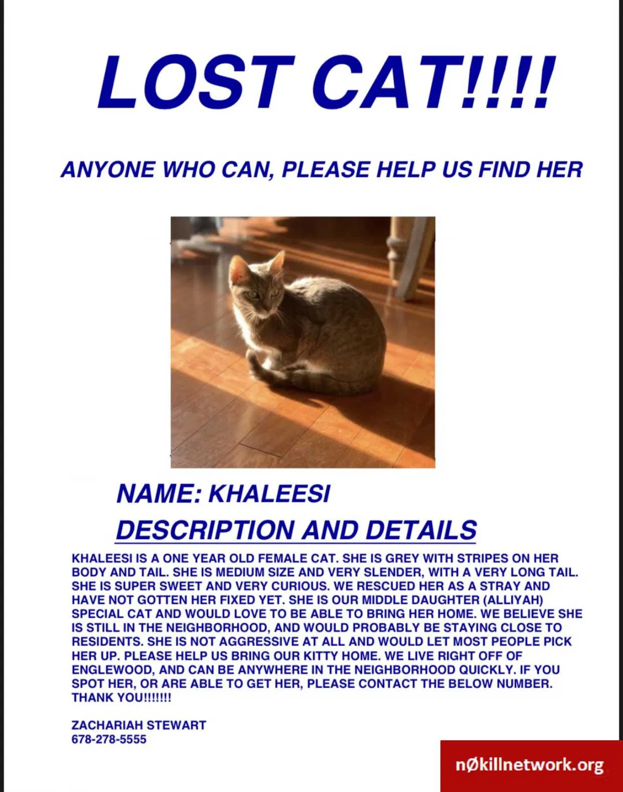 Lost cat in Cumming, GA, 30040