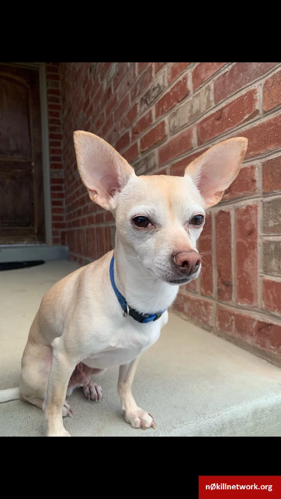 Lost dog in Unknown, UT, 84009