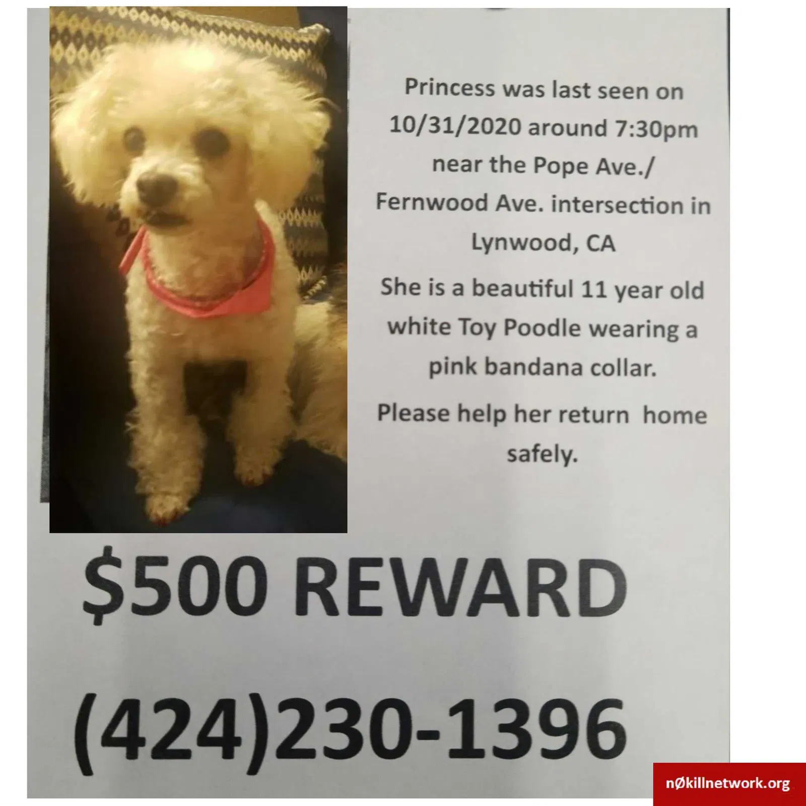 Lost dog in Lynwood, CA, 90262