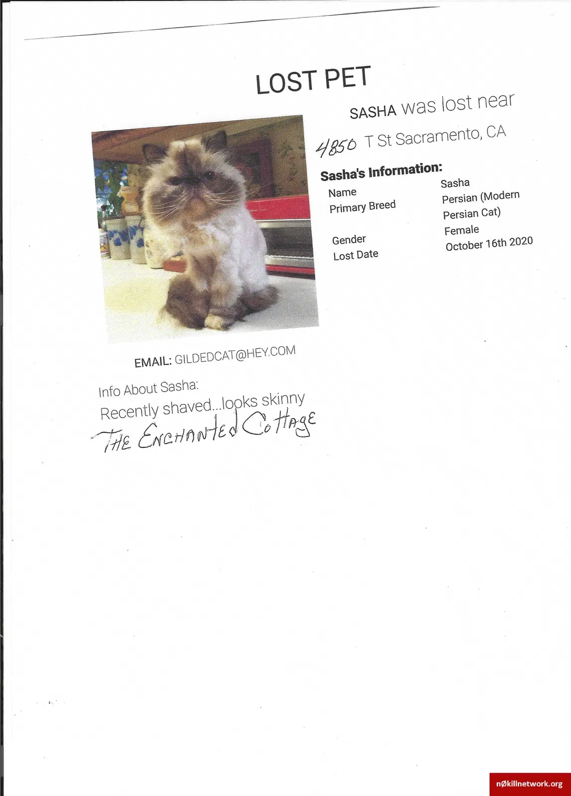 Lost cat in Sacramento, CA, 95819