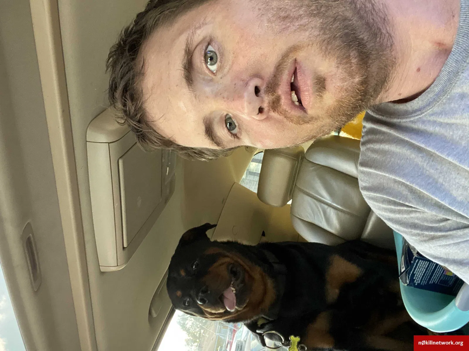 Lost dog in Little Rock, AR, 72204