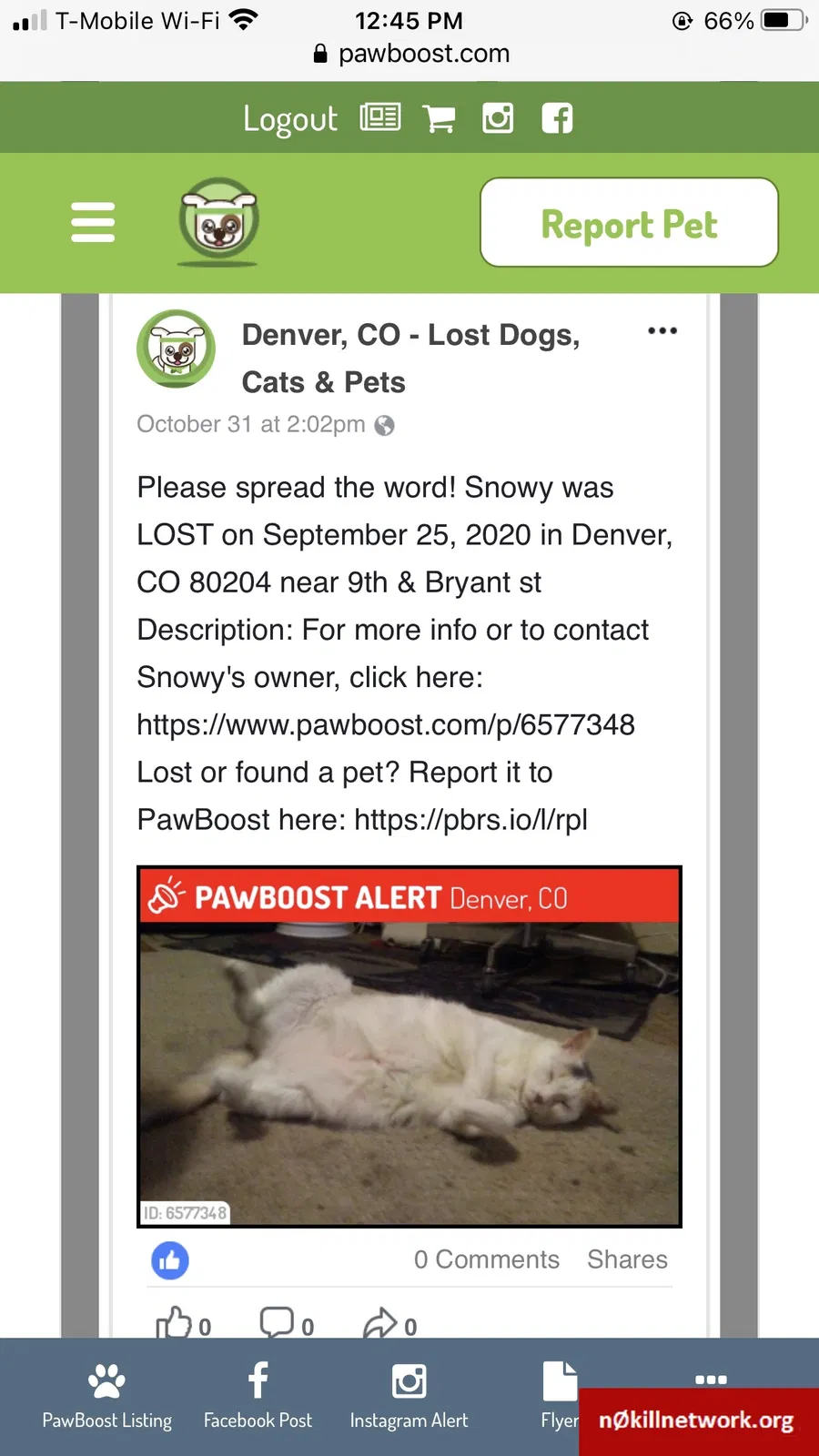 Lost cat in Denver, CO, 80204