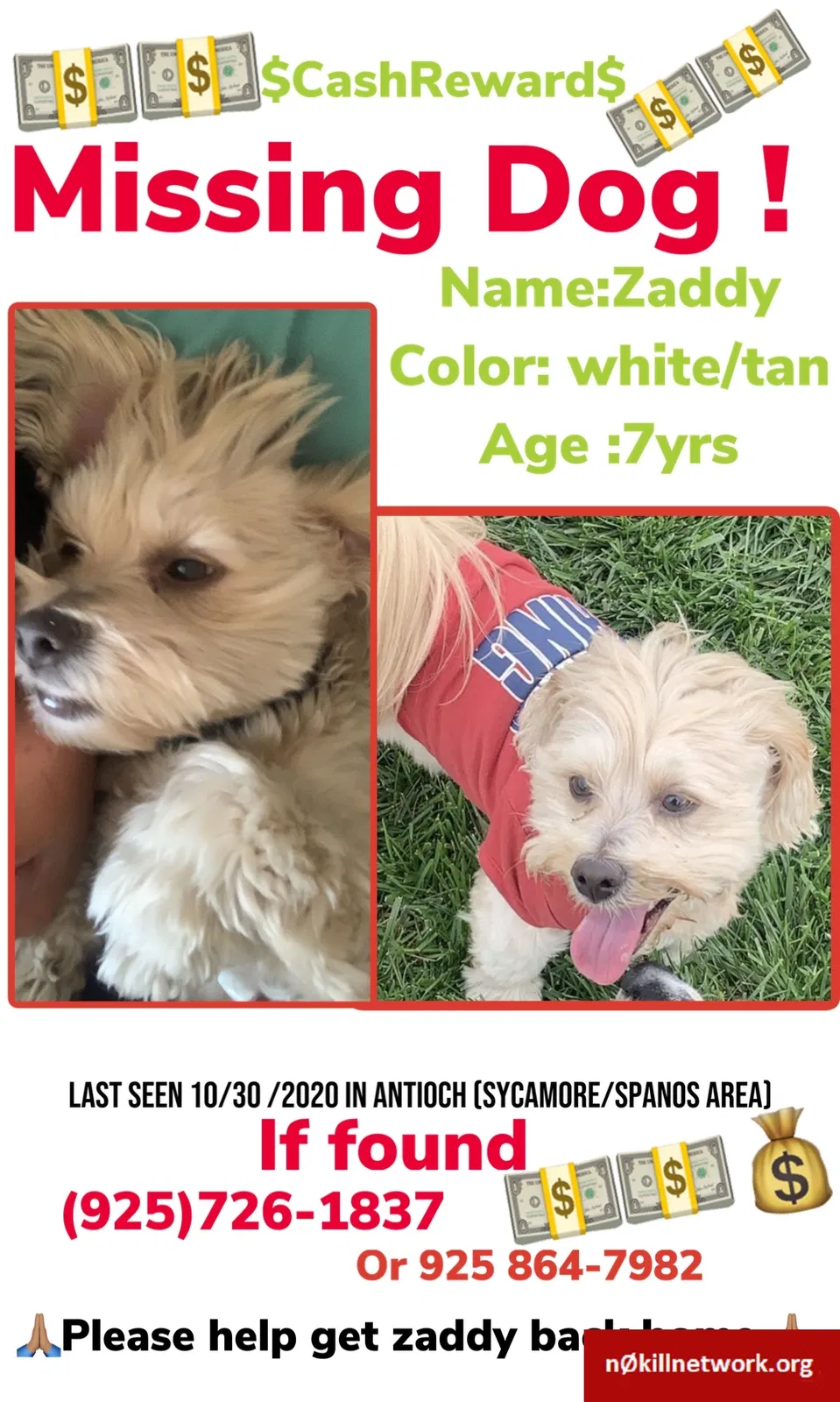 Lost dog in Pittsburg, CA, 94565