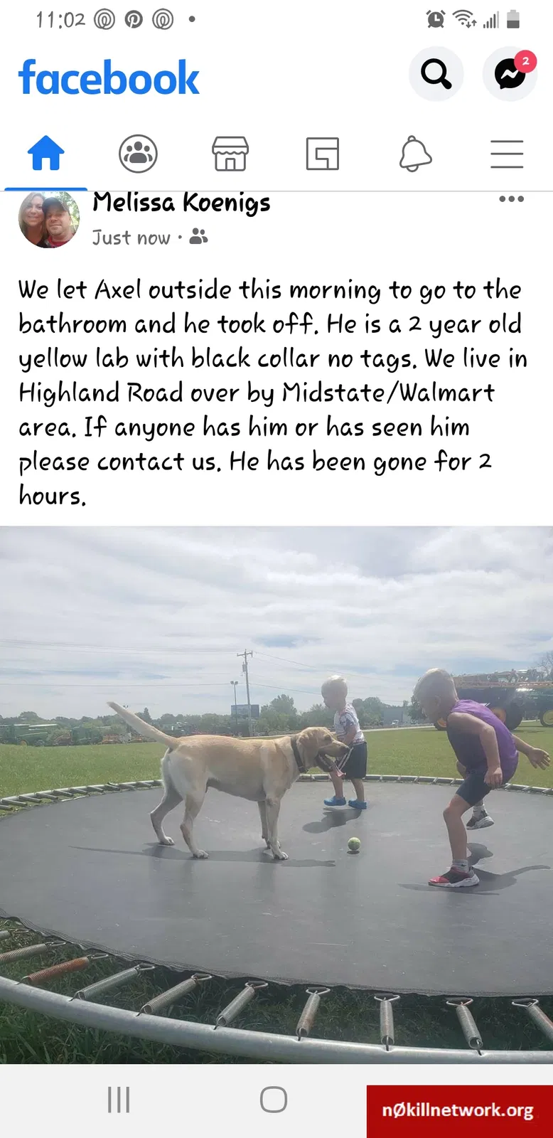 Lost dog in Watertown, WI, 53094