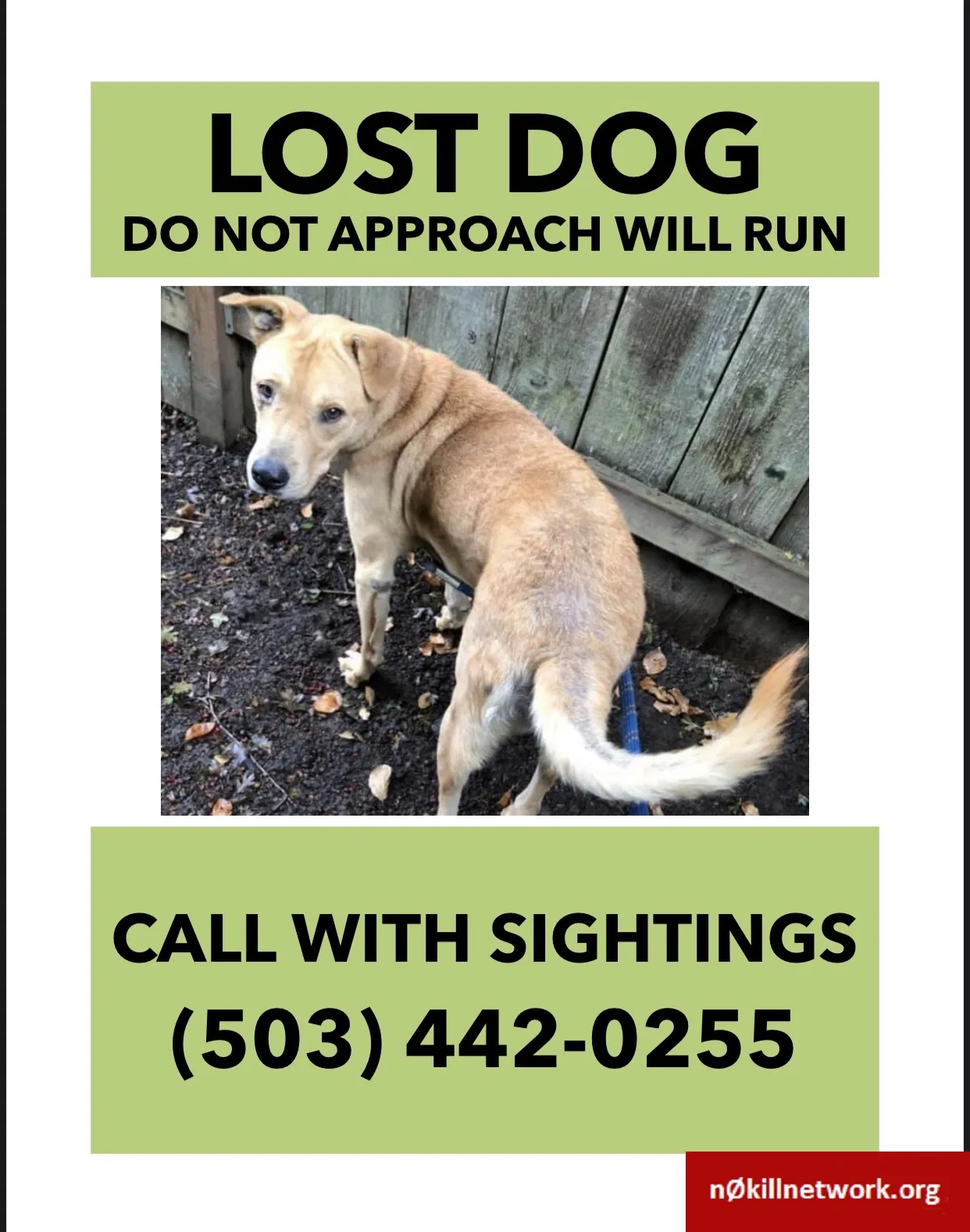 Lost dog in Lake Oswego, OR, 97035