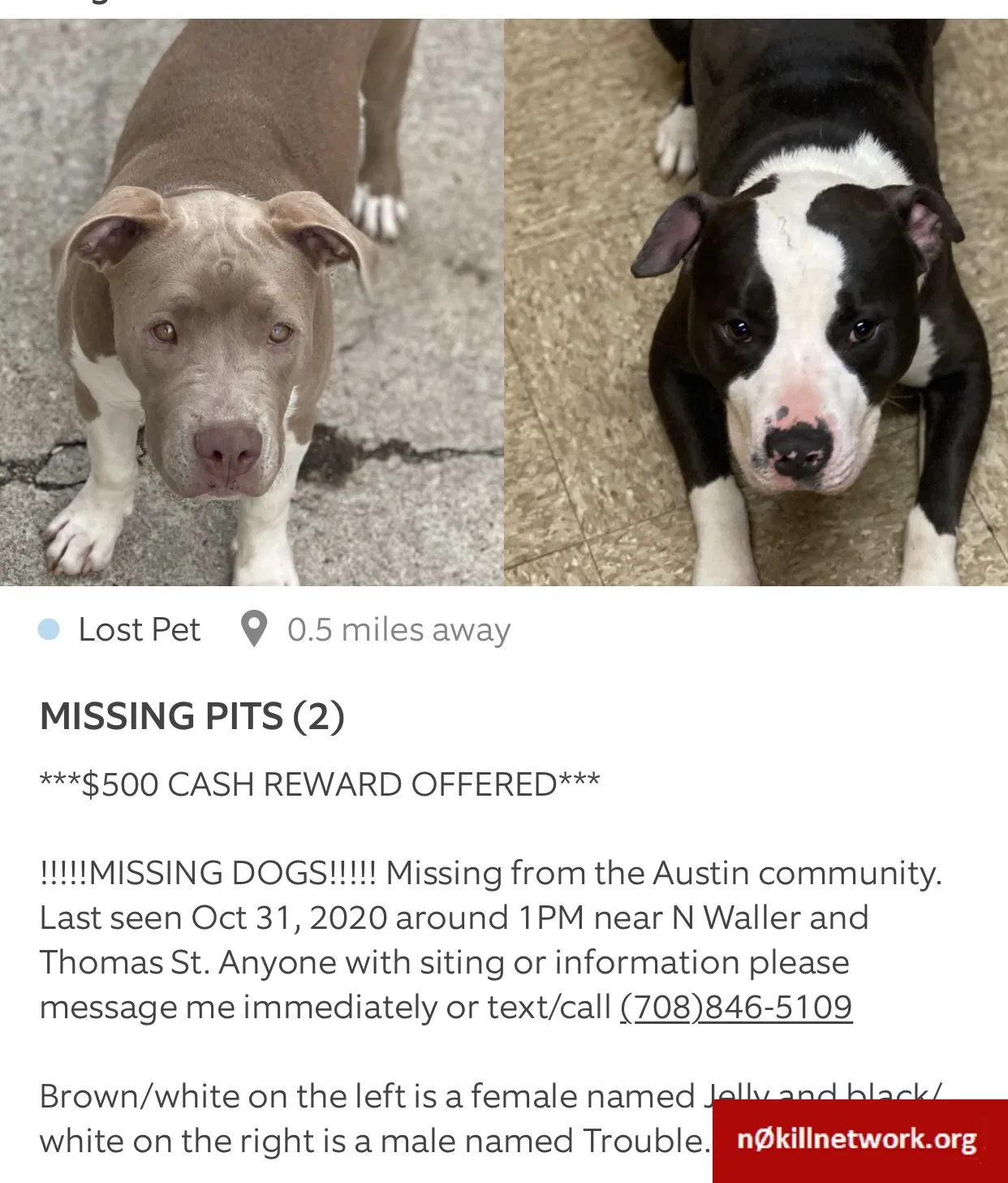 Lost dog in Chicago, IL, 60651