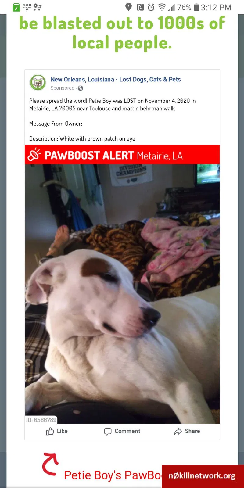 Lost dog in Metairie, LA, 70005