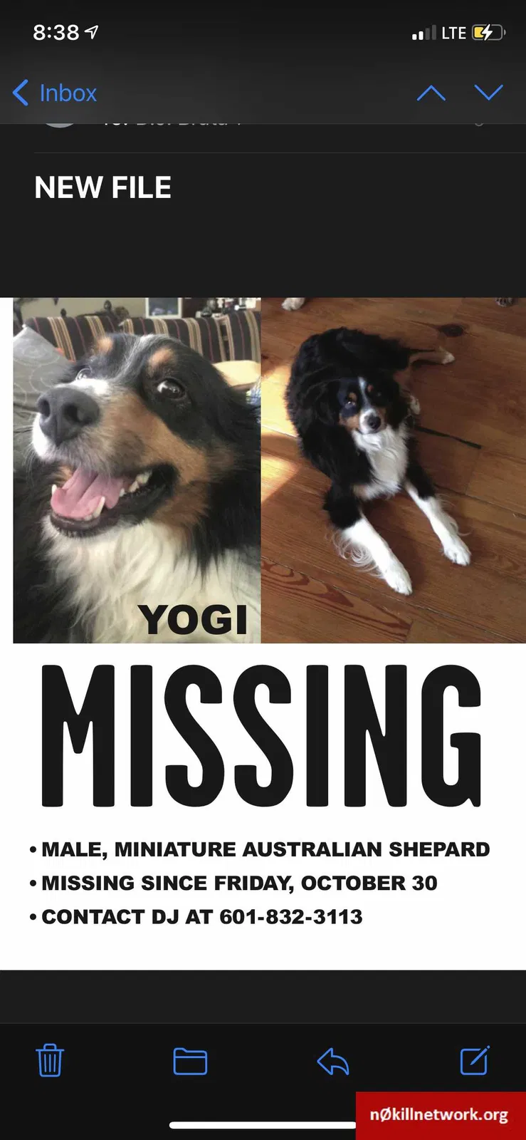 Lost dog in Madison, MS, 39110