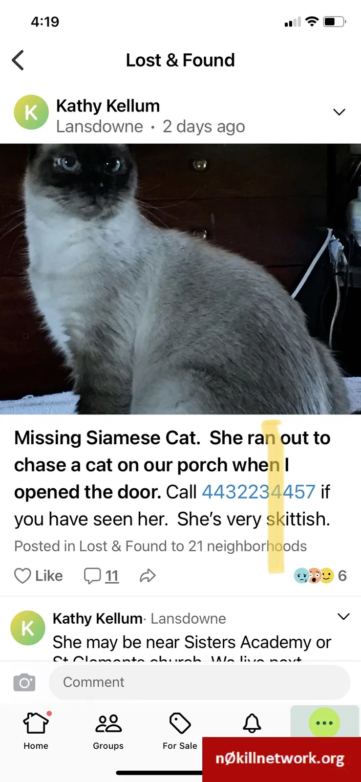 Lost cat in Halethorpe, MD, 21227
