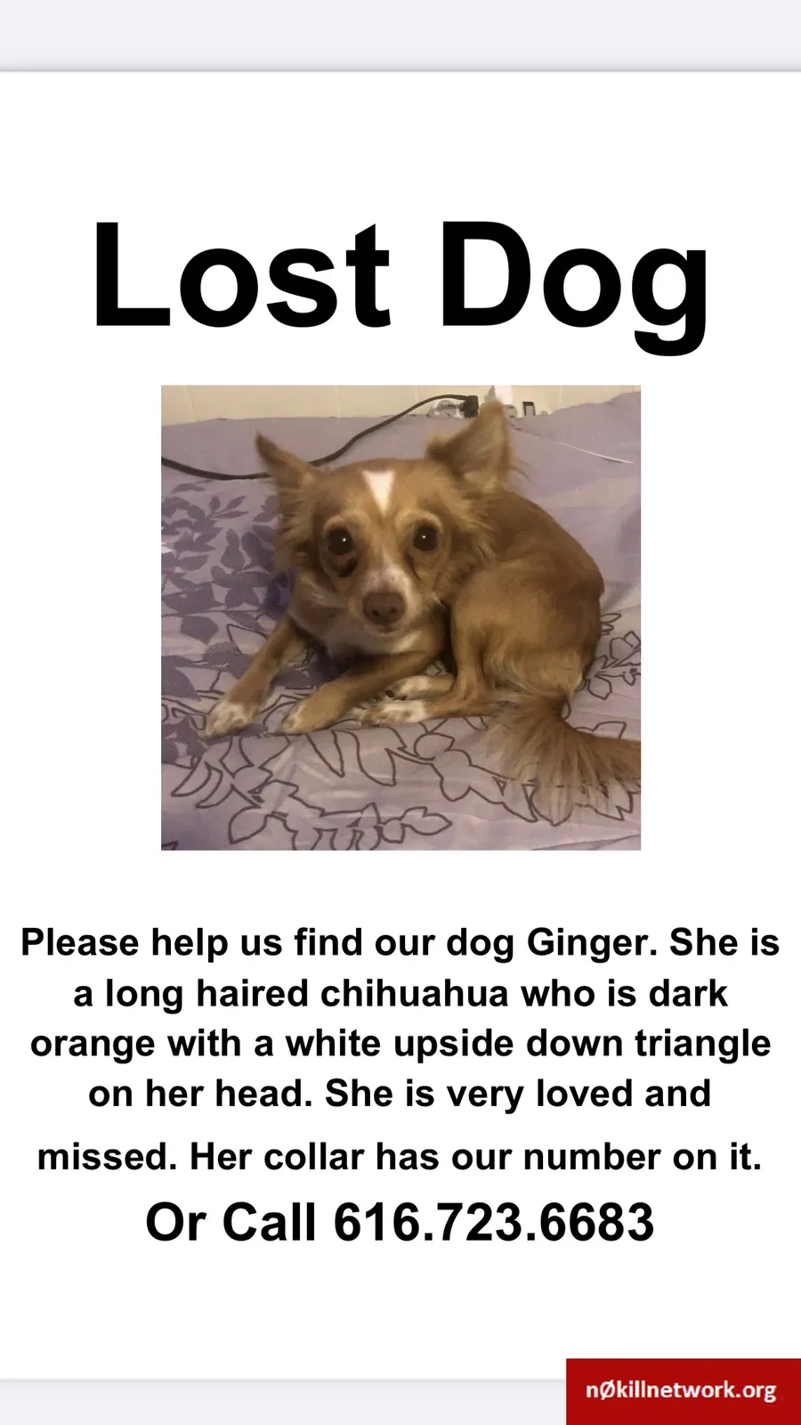Lost dog in Grand Rapids, MI, 49548