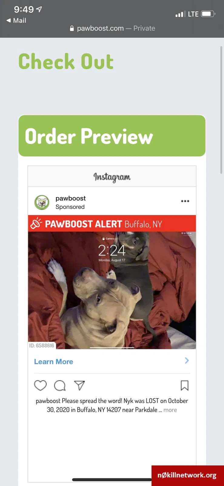 Lost dog in Buffalo, NY, 14213